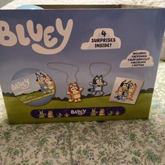 Bluey Surprise Ball- this includes 13 Bluey surprise balls.