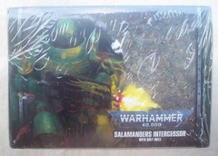 SALAMANDERS INTERCESSOR Warhammer 40000 40K Bandai 1:12 7″ figure 2021