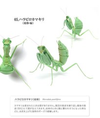 The Diversity of Life on Earth Mantis 03 Set of 6 Complete Bandai Capsule Toy