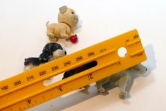 Hasbro Toys 1994 Puppy In My Pocket Dog pack of four lot Vintage