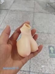 1:6 Pale Skin Normal Breast Bust Cover Model F 12” Female TBL PH Figure Body