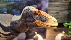 Beasts Of The Mesozoic 1/18th scale Yutyrannus huali