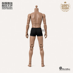 WorldBox AT011 1/6 Narrow Shoulder Muscular Male Figure Body TTM18 Hot Toys USA