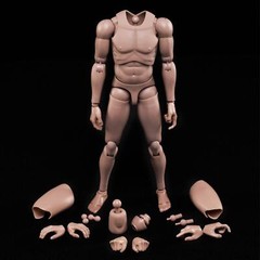 1:6 MX02-A 12inch Europe Skin Flexible Male Action Figure Body Fit Head Sculpt