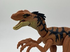 Jurassic World 3.75 Rebirth Orange VELOCIRAPTOR Dinosaur action figure LOOSE