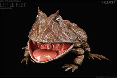 REBOR 1/2 Beelzebufo Action Figures Frog Decor Animal Model Adult Gift