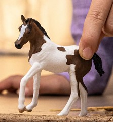 SCHLEICH,Paint Horse Foal, , SHL14899