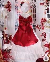Paradox World The Brain In The Tank Secret 18.2cm/7.1In Bjd Dressable Official