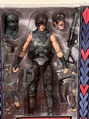 Valaverse Action Force Eclipse Warpath Exclusive Sealed Action Force 6 Inch