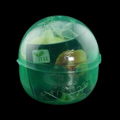 Yell Blind Box Gacha Cute Molting Lizard Figure 1 Random Japanese Capsule Toy
