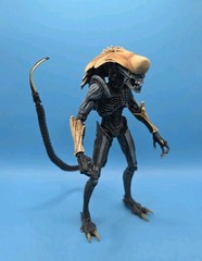 NECA Alien VS Predator Chrysalis Alien Action Figure 2019 Fast Shipping !!!