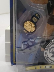 2004 WWE WrestleMania XX Champions Steve Austin Action Figure Jakks Pacific