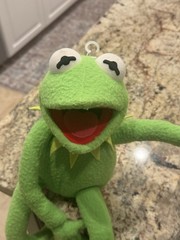 Applause Plush Kermit the Frog Poseable Jim Henson Muppets 19” Wire Arms & Legs