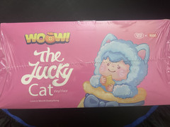ONE (1) FULL CASE OF THE LUCKY CAT VINYL FACE PLUSH SERIES