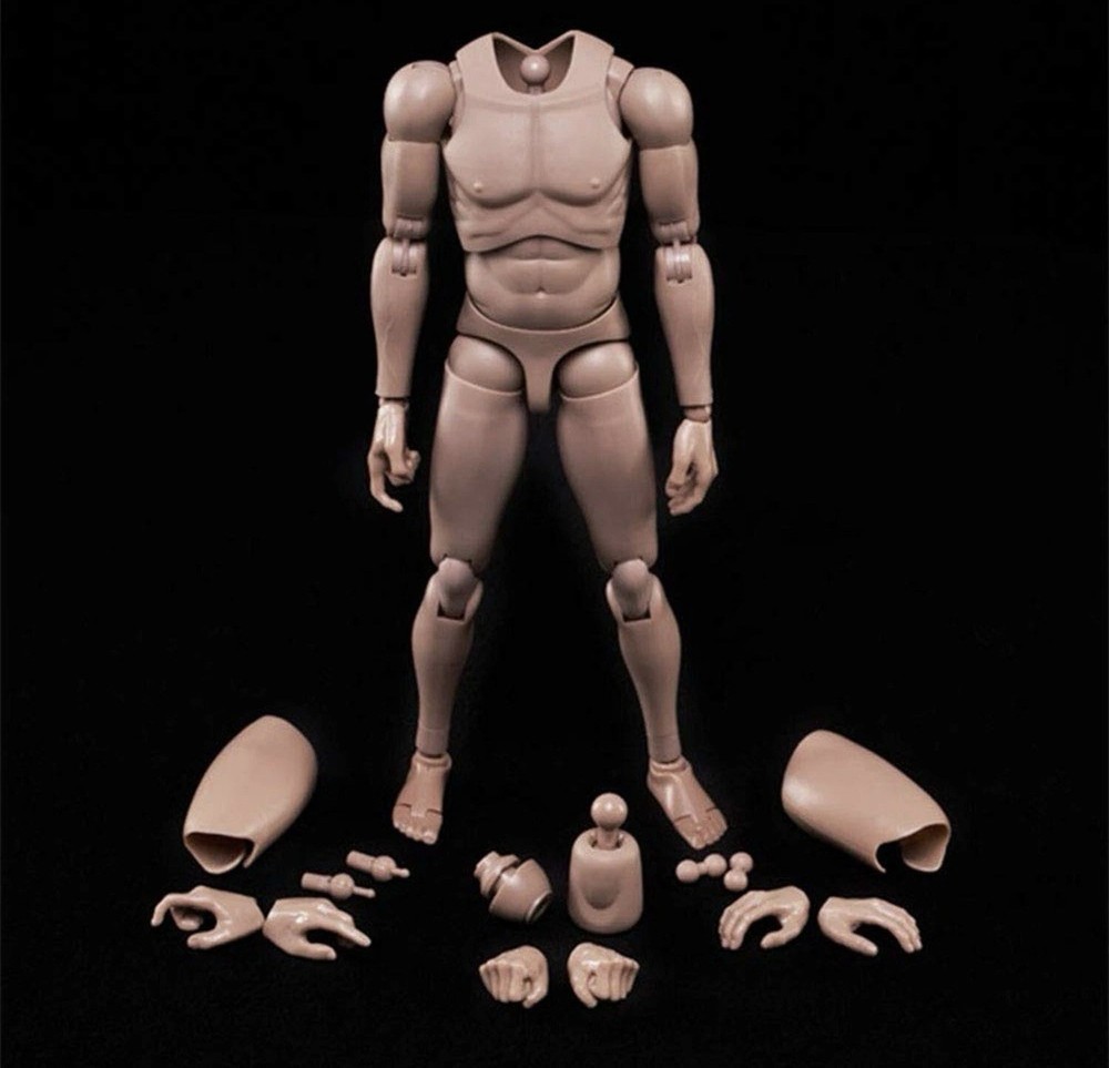 1:6 Scale Muscle Male Action Figure Europe Skin 12 Inch Flexible Male Figure …