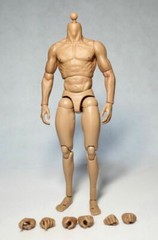 ZC Toys 1/6 Scale 12″ Nude Male Muscular Man Figure Body Model Fit HT Headsculpt