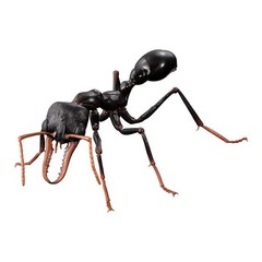 The Diversity of Life on Earth Advance Paper Wasp Bulldog Ant Bandai Capsule Toy