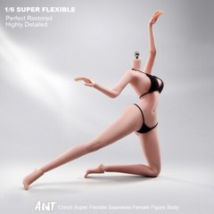 ANT 1:6 Flexible Medium Breast 12 inch Female Seamless Action Figure Body Dolls