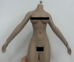1/6 Female Flexible Seamless Doll Body For 12″ Greyish Posable Action Figure B