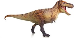 HAOLONGGOOD 1:35 Tyrannosaurus Rex Dinosaur NIB import