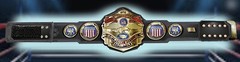 NWA Lot Of 5 Custom Hand Made Hasbro Scale Wrestling Belts Mid Atlantic Title