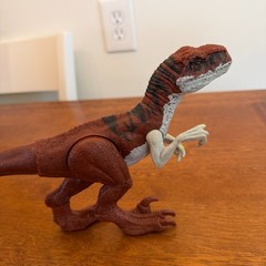 Jurassic World Raptors Dominion Atrociraptor 2021 VGC 13.5″ Long