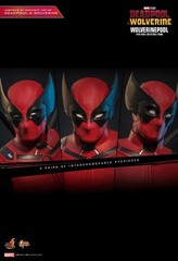 READY NEW AUTHENTIC HOT TOYS DEADPOOL & WOLVERINE WOLVERINEPOOL MMS857 CONCEPT