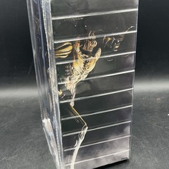 NECA Aliens vs. Predator: Requiem Alien Warrior 2007 Action Figure Boxed 8in