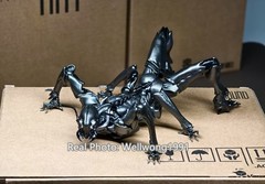 In Stock SEXY ICE VERMIN UNKVAL Ant B006 1/12 Action Figure 2026 New In BOX