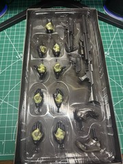 Star Wars Commander Gree 41st Elite Corp SideShow Exclusive 1:6 21831 W/ Bonus