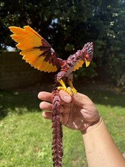 3D Printed 1 Pack Phoenix Animals 14.5” Luminous Articulated Toy Gift