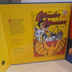 VTG Wonder Woman Masterpiece Edition The Golden Age of the Amazon Box Set 2001