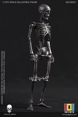 101TOYS NO.ES001/2 Palm Elf Series Skeleton Body 1/12 Action Figure Collectible