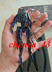 US Ship!! APC Toys Night Countess DARK FOREST Blackarachnia Airachnid TFP Figure