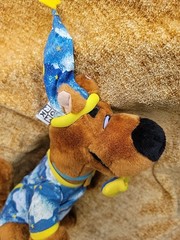 Cartoon Network SCOOBY-DOO DOG WIZARD 14″ Plush Toy Sleepy Time Pajama
