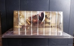 McFarlane Toys 6 Faces Of Madness Elizabeth Bathory RARE!!! (Nipple Variant)