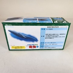 Takara Tomy ANIA Blue Whale AL-23 Floating Animal Figure 2024