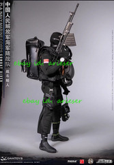 Damtoys 78073 Combat Diver Pla Marine Corps 1/6 Action Figure New Toys In Stock