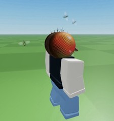 R0BLOX Toy Code – Freaky Fly Face | With Special Effect