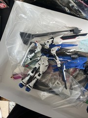 1/100 MG Bandai JUSTICE GUNDAM ZAFT Mobile Suit ZGMF-Z09A Freedom Z.A.F.T. X10A