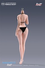 US ANT 1:12 Pale Large Bust Plump Hip 6″ Seamless Female Action Figure Body Toys