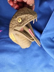 7 Vintage Rubber Hand Puppets Lot Animals Dragons Bears Dinosaur Alligator SOFT