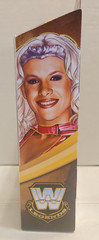 WWE Elite Collection MOLLY HOLLY Series 16 HDM50 By Mattel – New & Sealed U