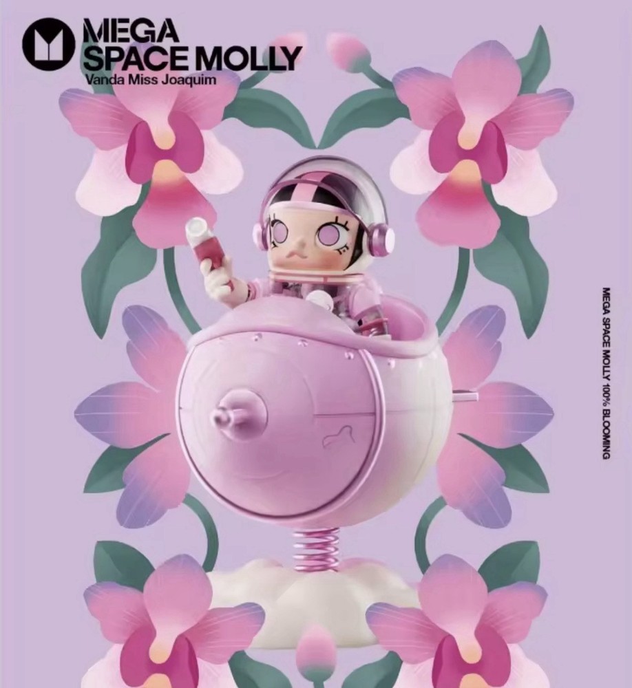 Authentic MEGA SPACE MOLLY 100% Blooming – Vanda Miss Joaquim SINGAPORE – Sealed