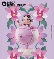 Authentic MEGA SPACE MOLLY 100% Blooming – Vanda Miss Joaquim SINGAPORE – Sealed