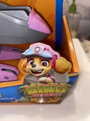 Nickelodeon Paw Patrol Skye Deluxe Vehicle and Action Figure – Multicoloured