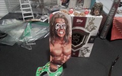 WWE Mattel Series Ultimate Series #1 The Ultimate Warrior Mint & Complete NICE!!