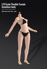 US 1/6 Female Mid Bust Pale Skin Flexible Seamless Body 12in Action Figure Doll