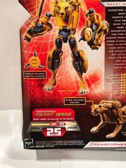 Transformers Universe 25th Anniversary Deluxe Class Cheetor Figure 2008 MOC