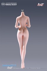 US ANT 1:12 Pale Large Bust Plump Hip 6″ Seamless Female Action Figure Body Toys